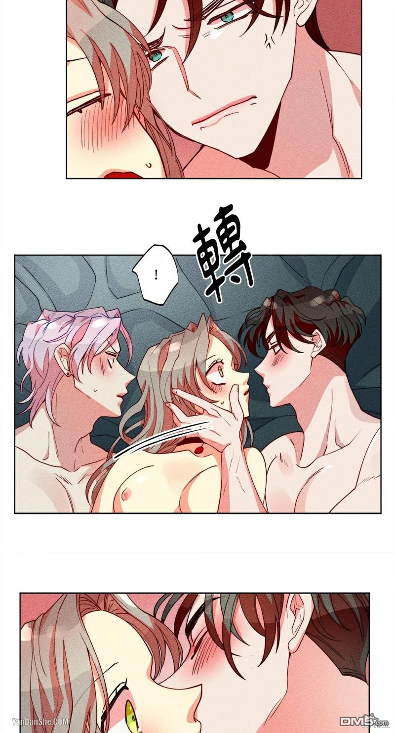 第 21 页