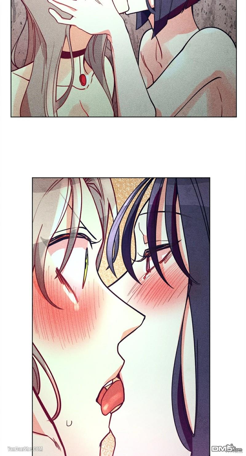 第 41 页