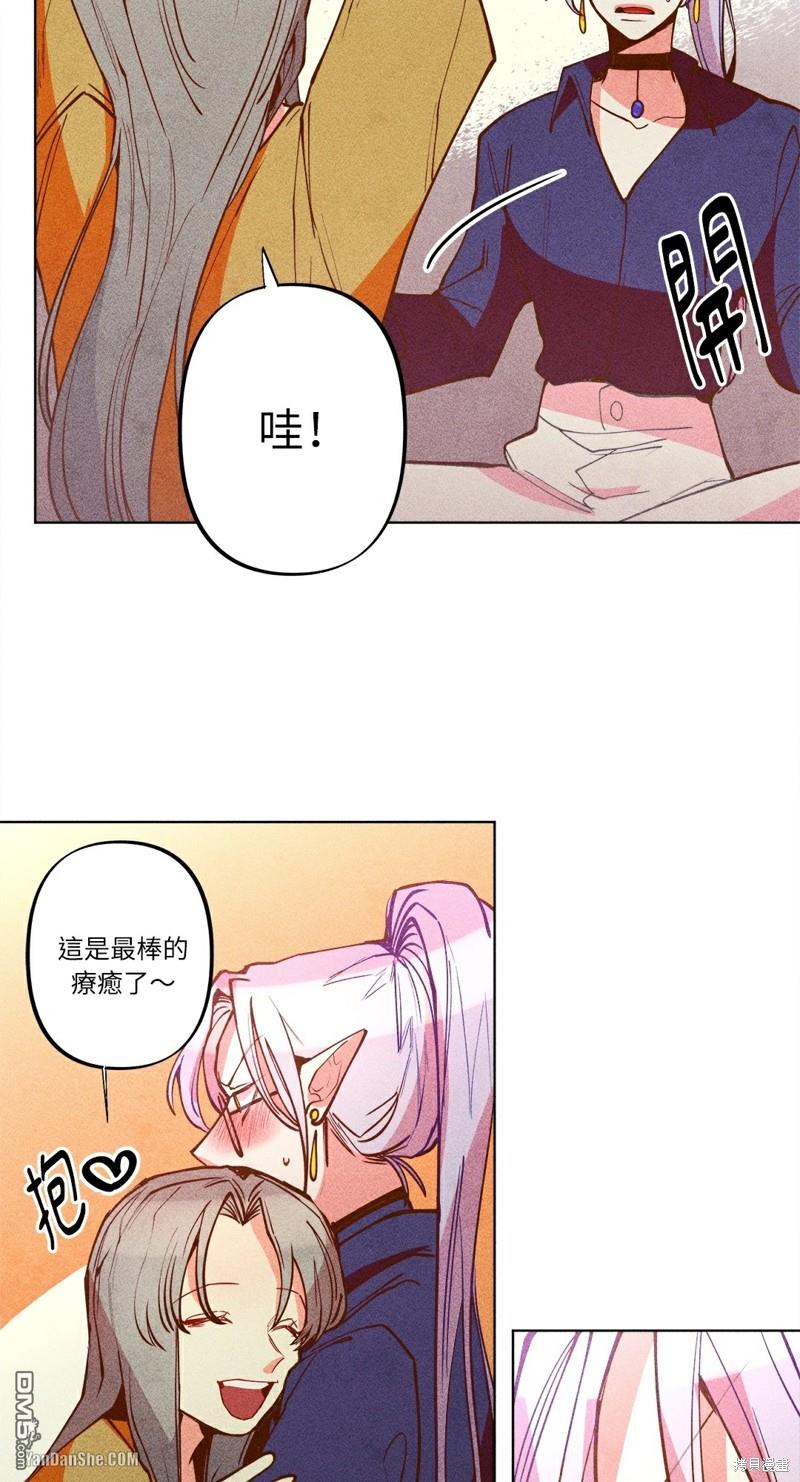 第 51 页