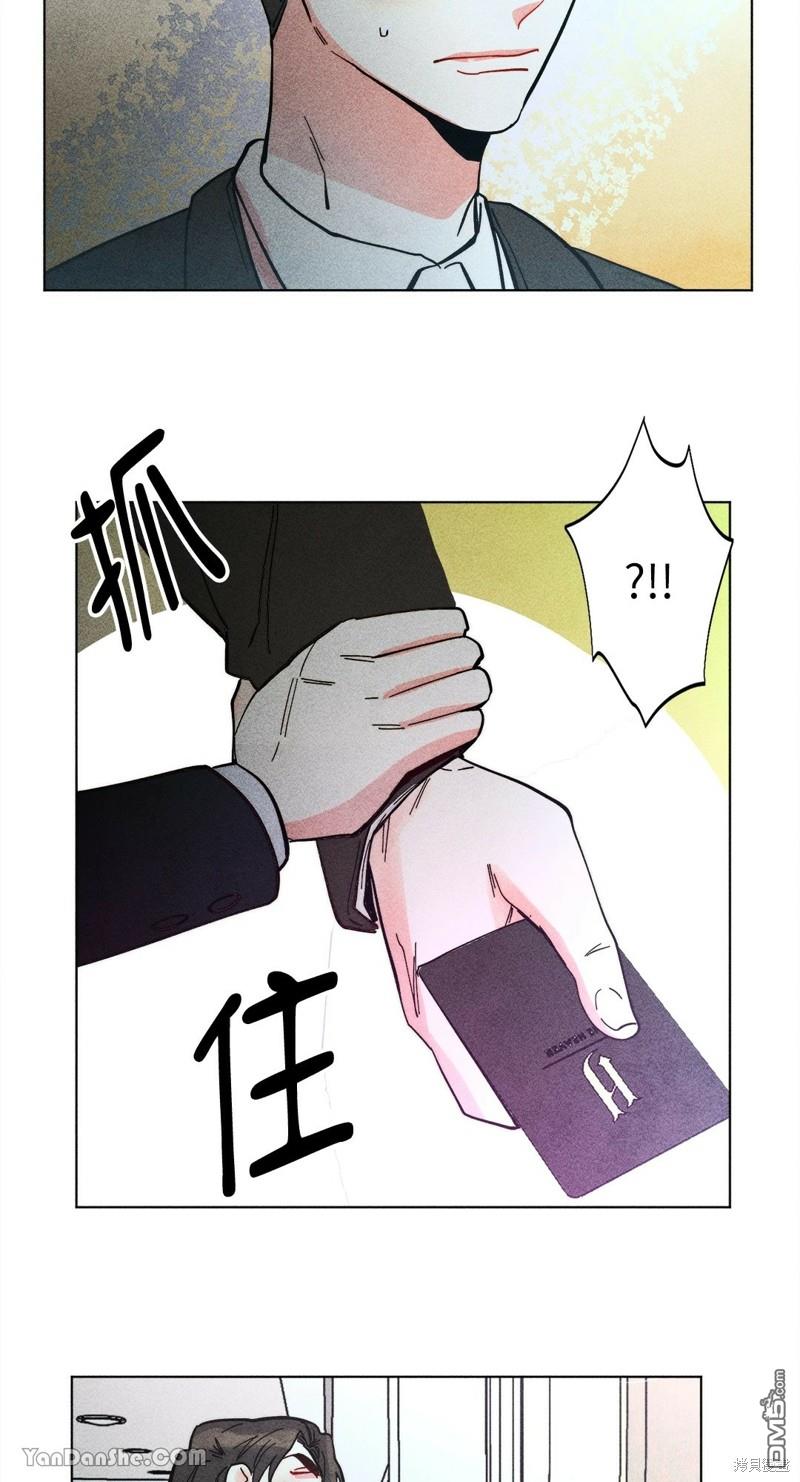 第 41 页