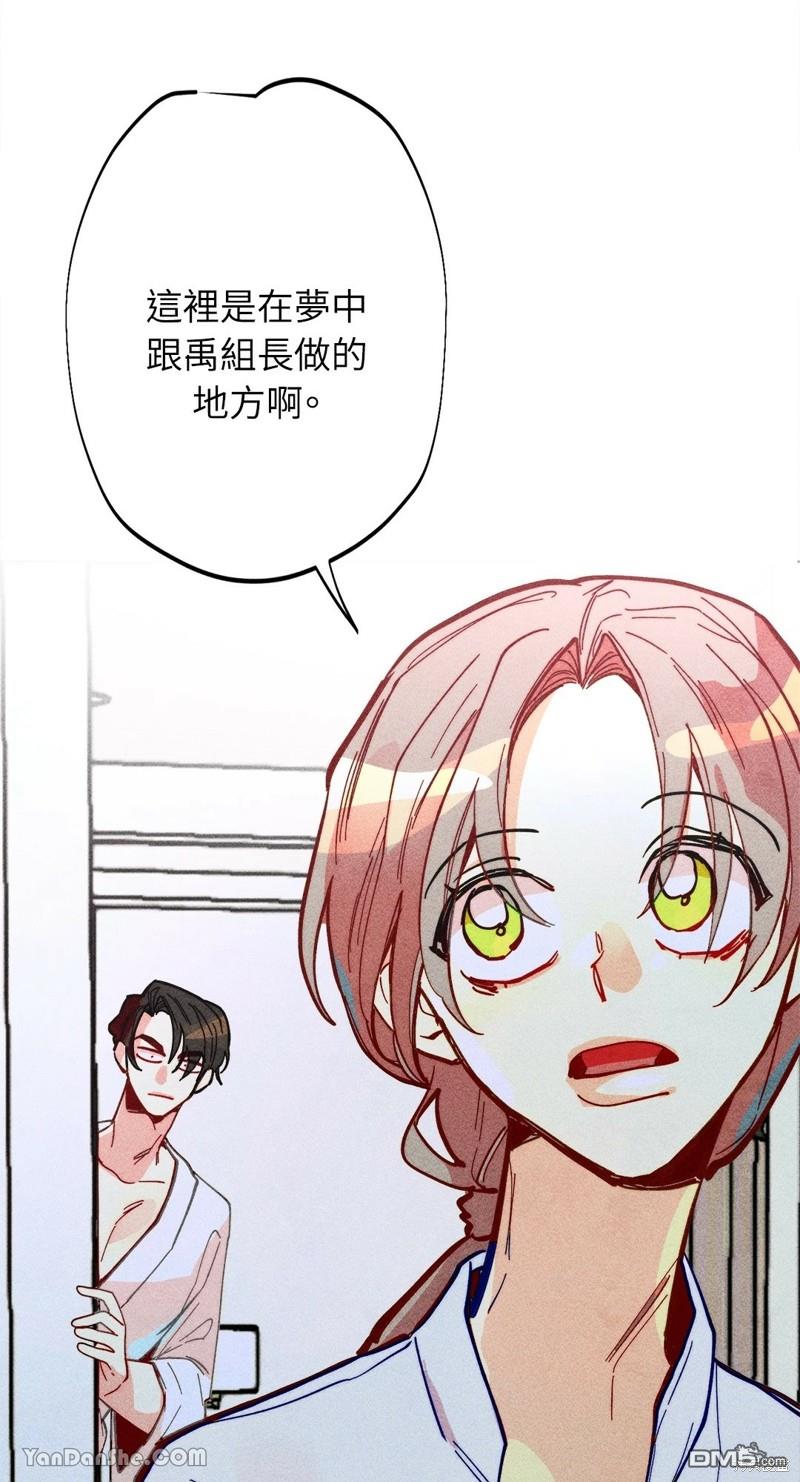 第 53 页