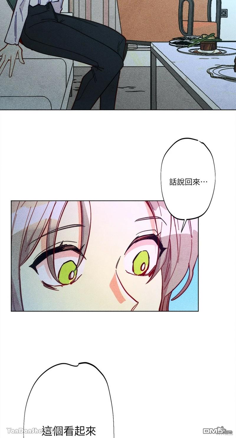 第 31 页