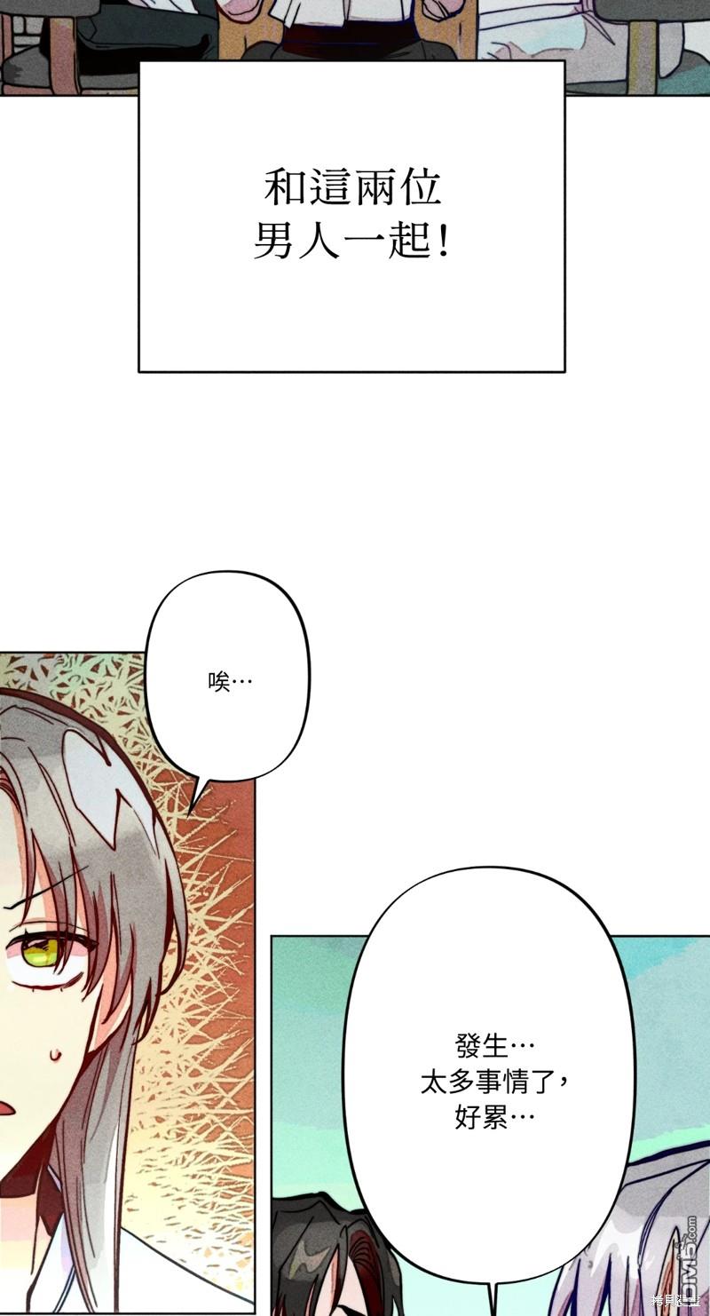 第 41 页