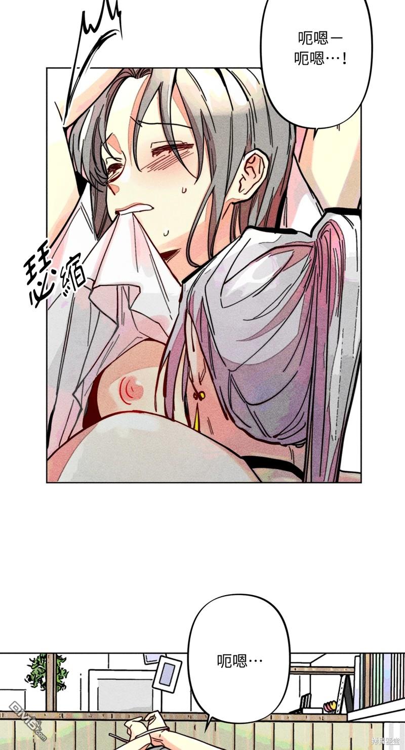 第 43 页