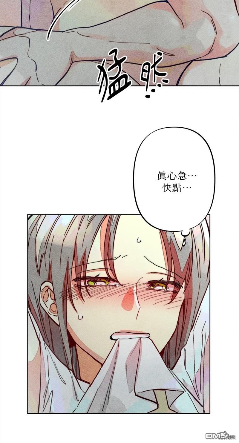第 53 页