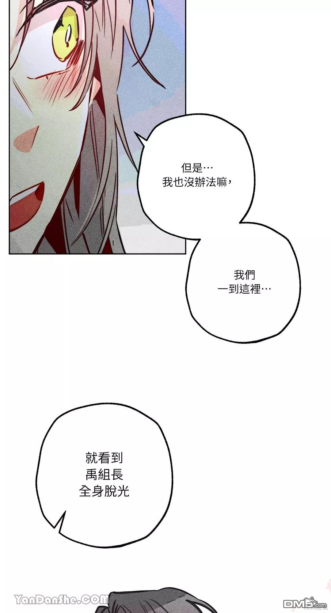 第 41 页