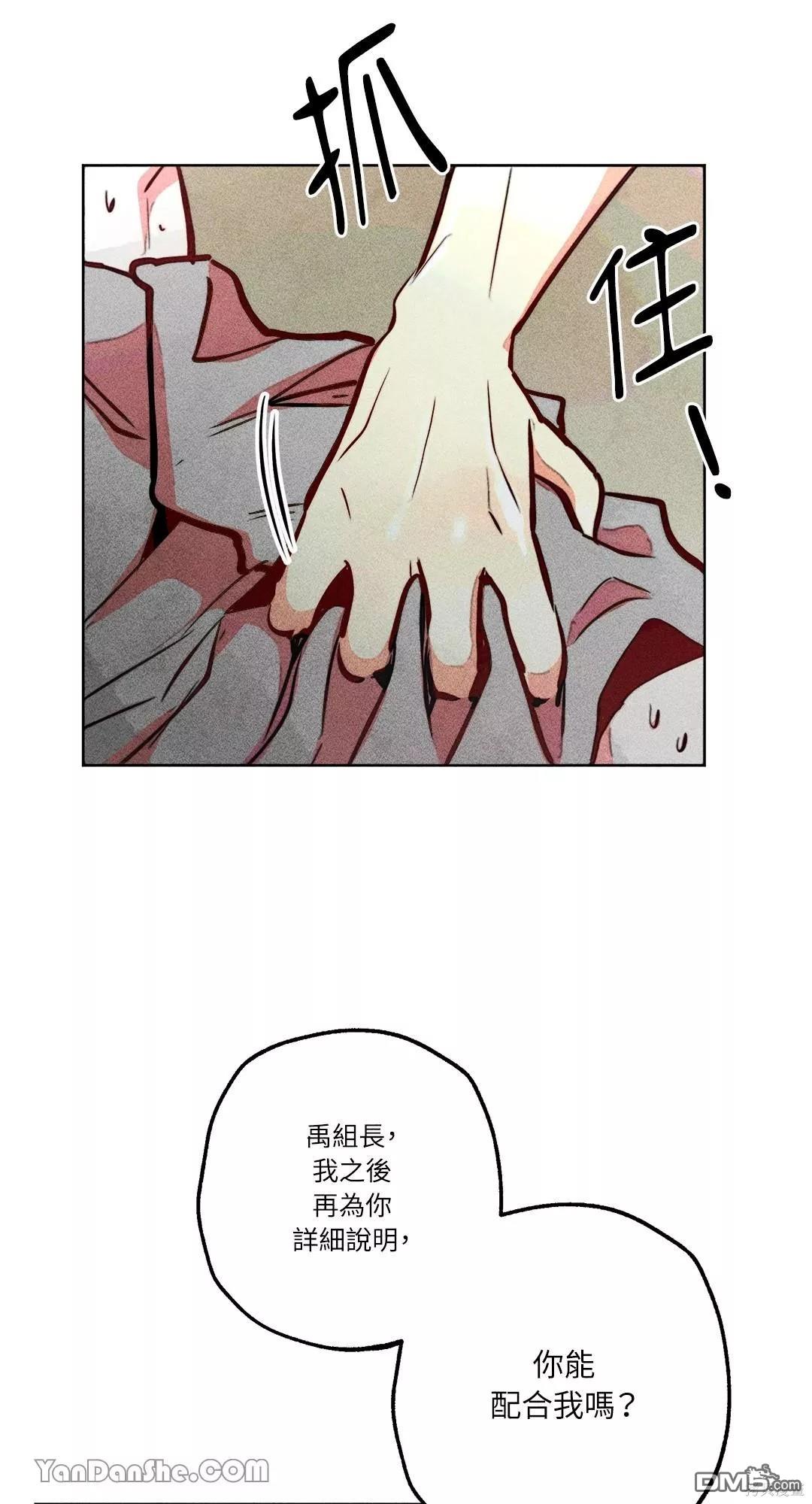 第 48 页
