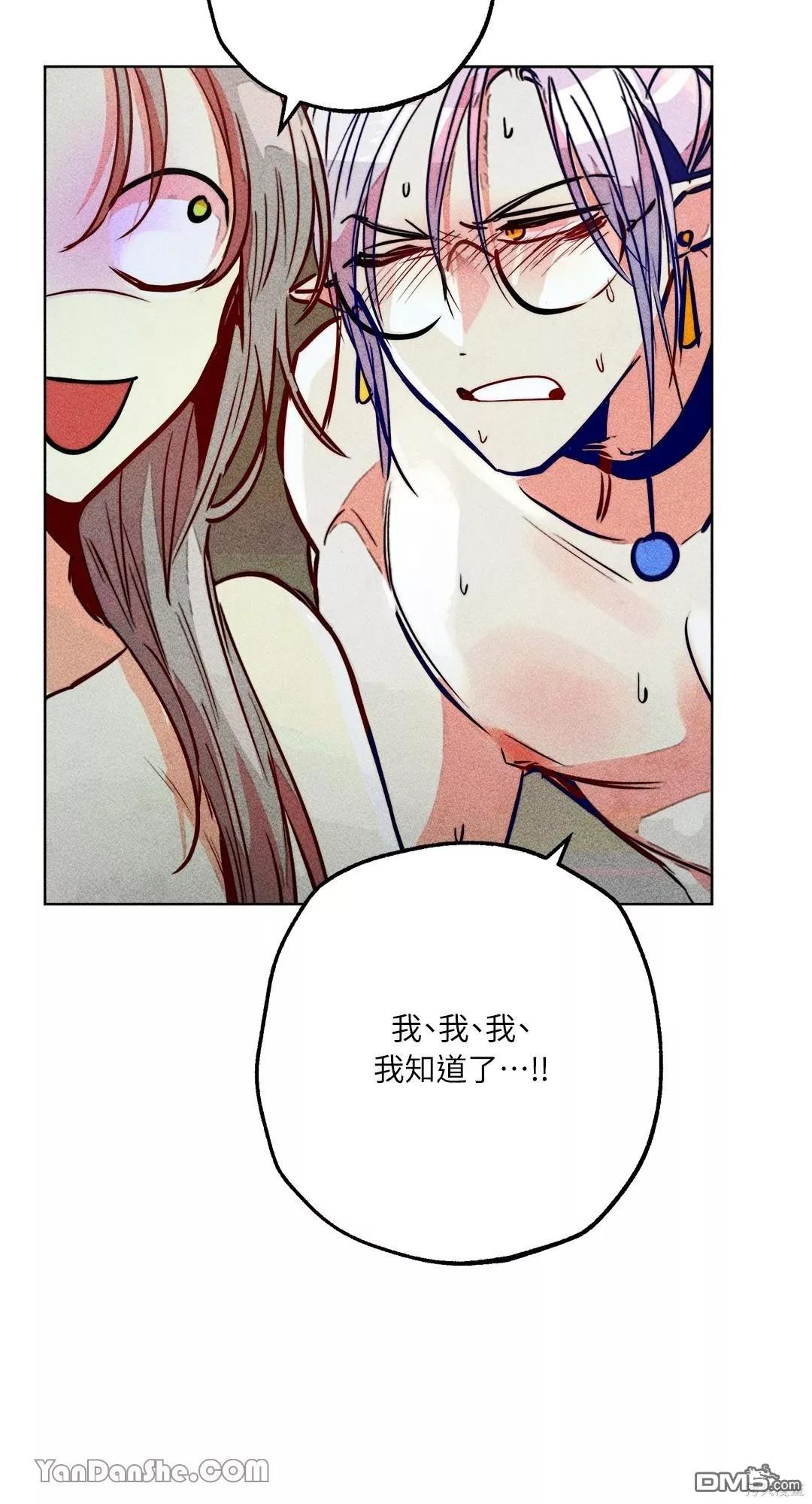 第 51 页