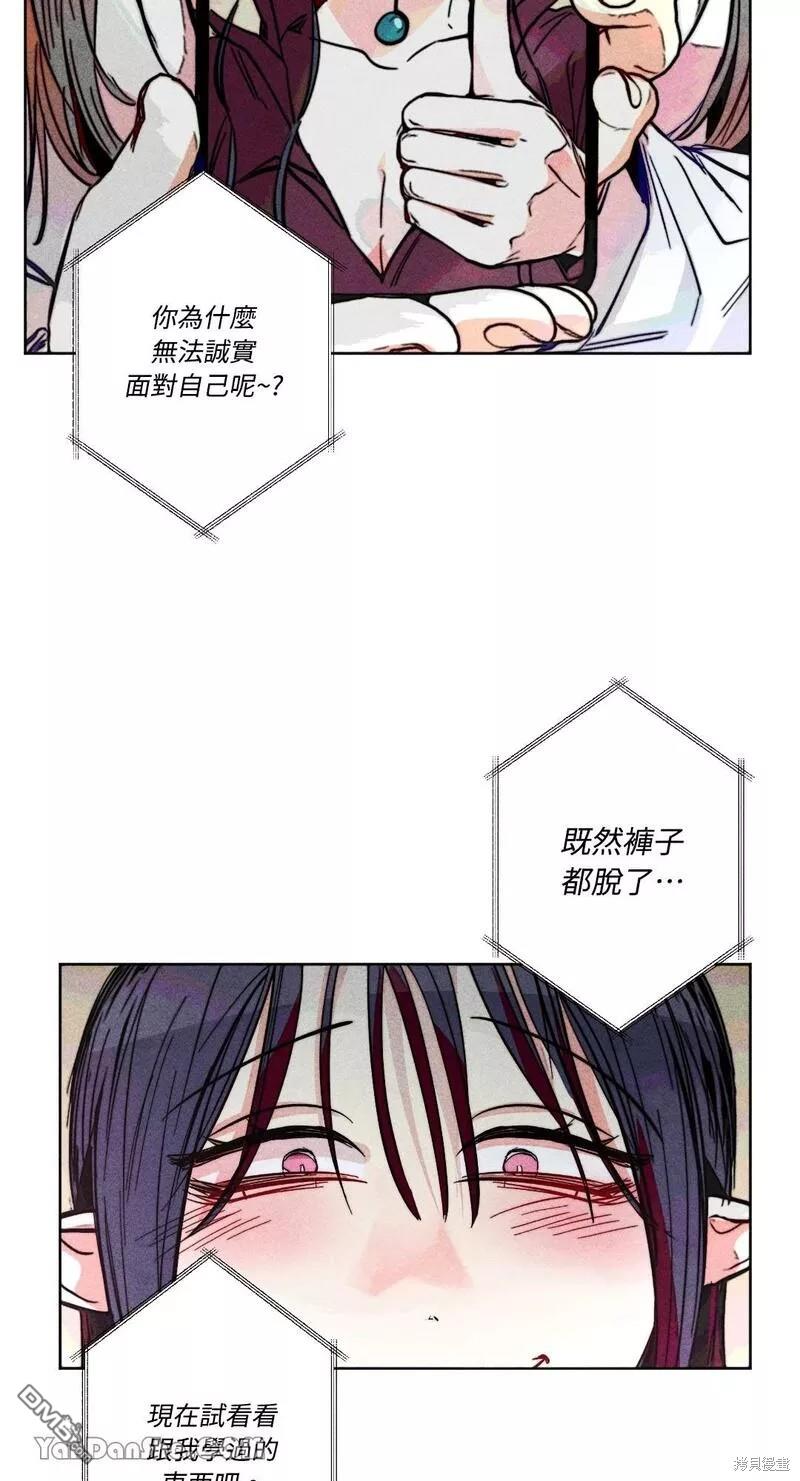 第 41 页