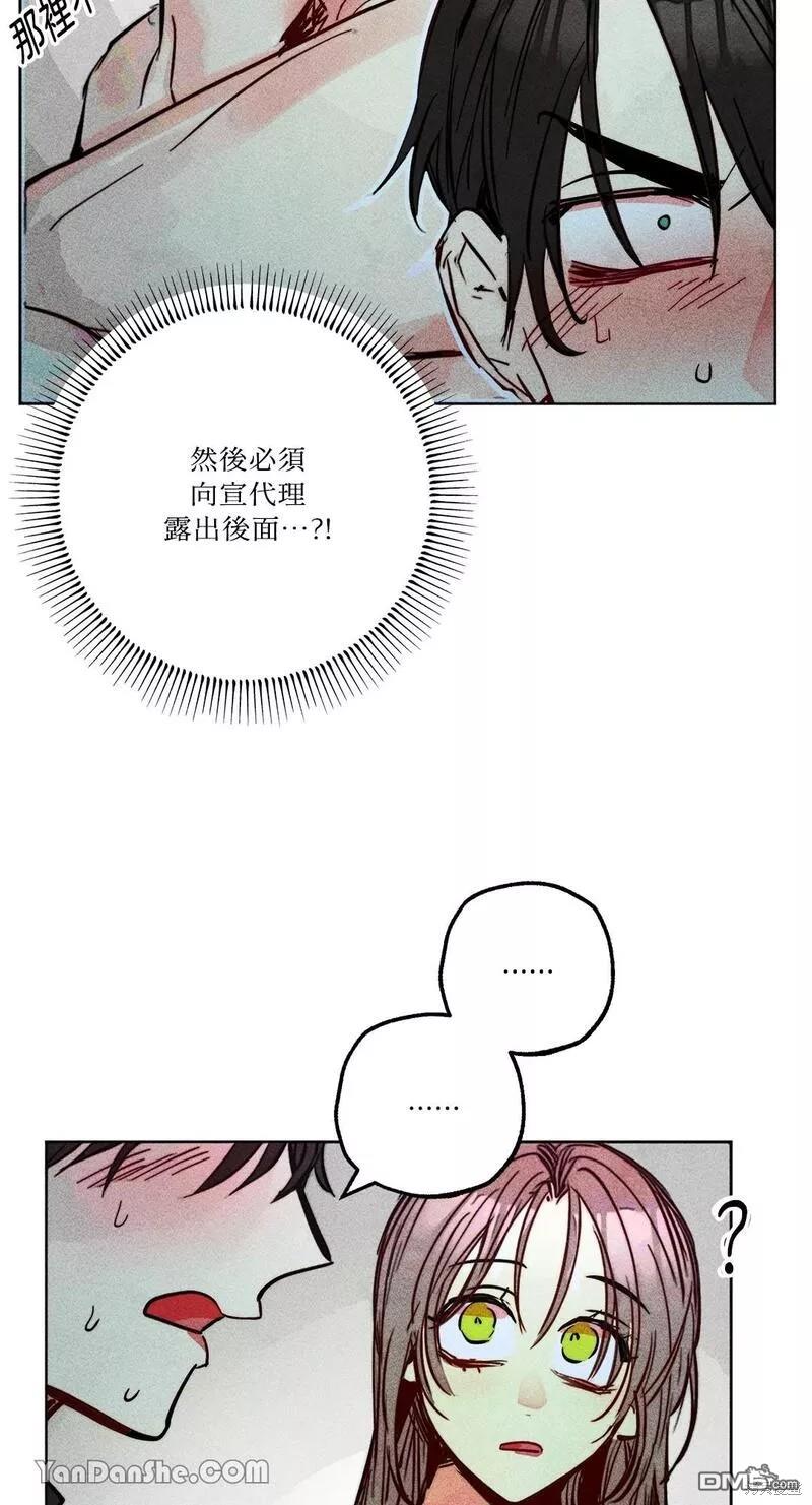 第 41 页