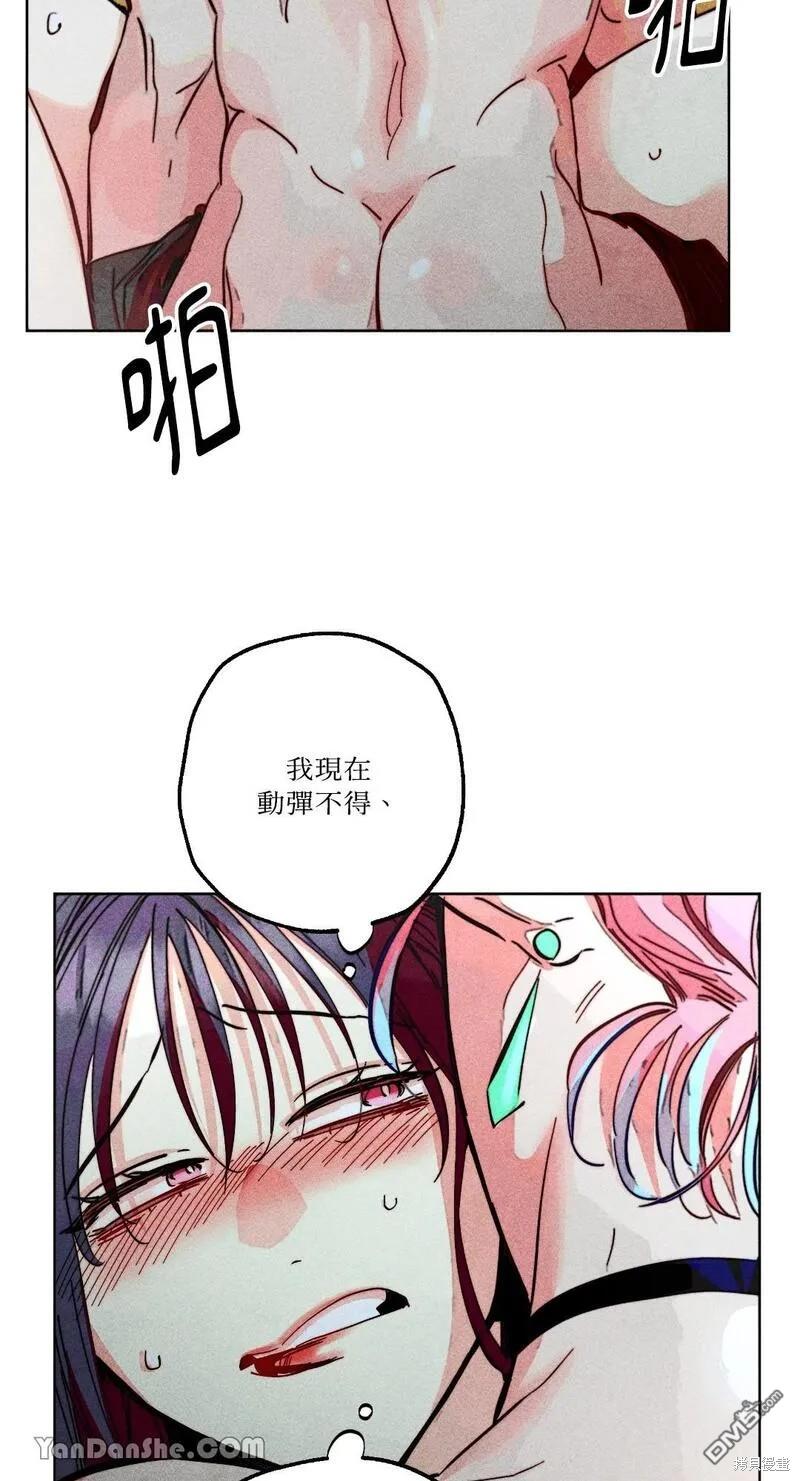 第 41 页