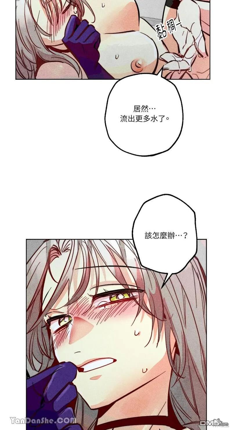 第 51 页