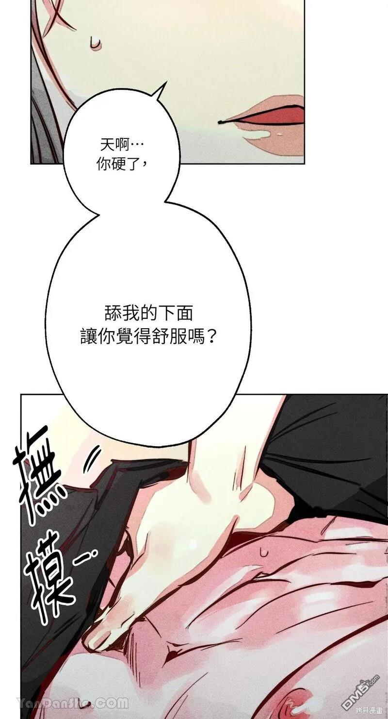 第 41 页