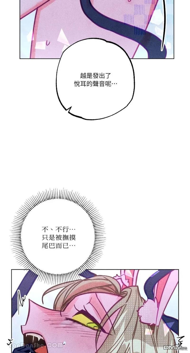 第 51 页