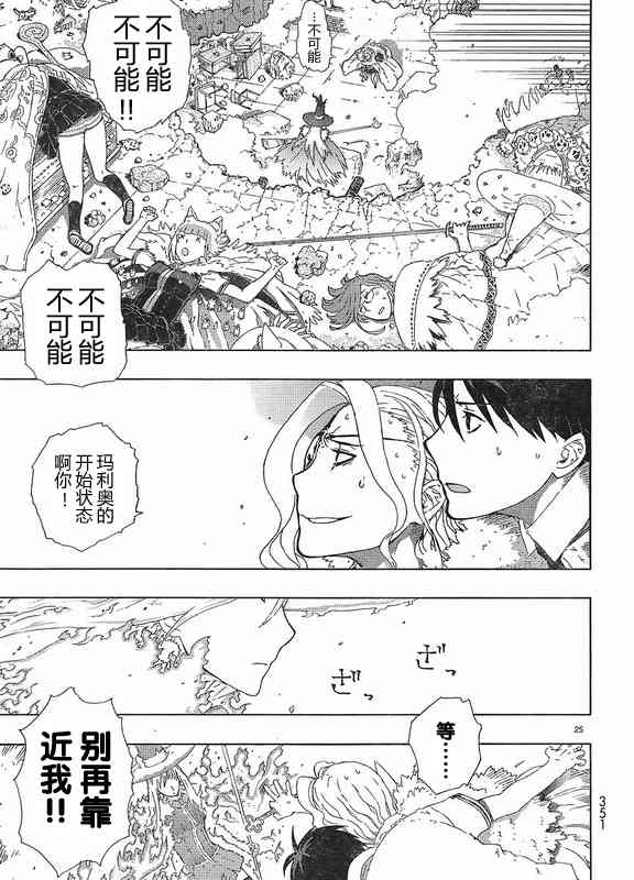 第 25 页