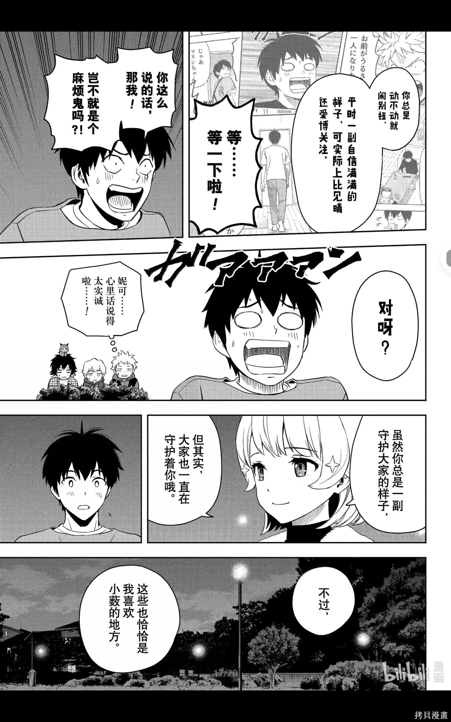 第 17 页