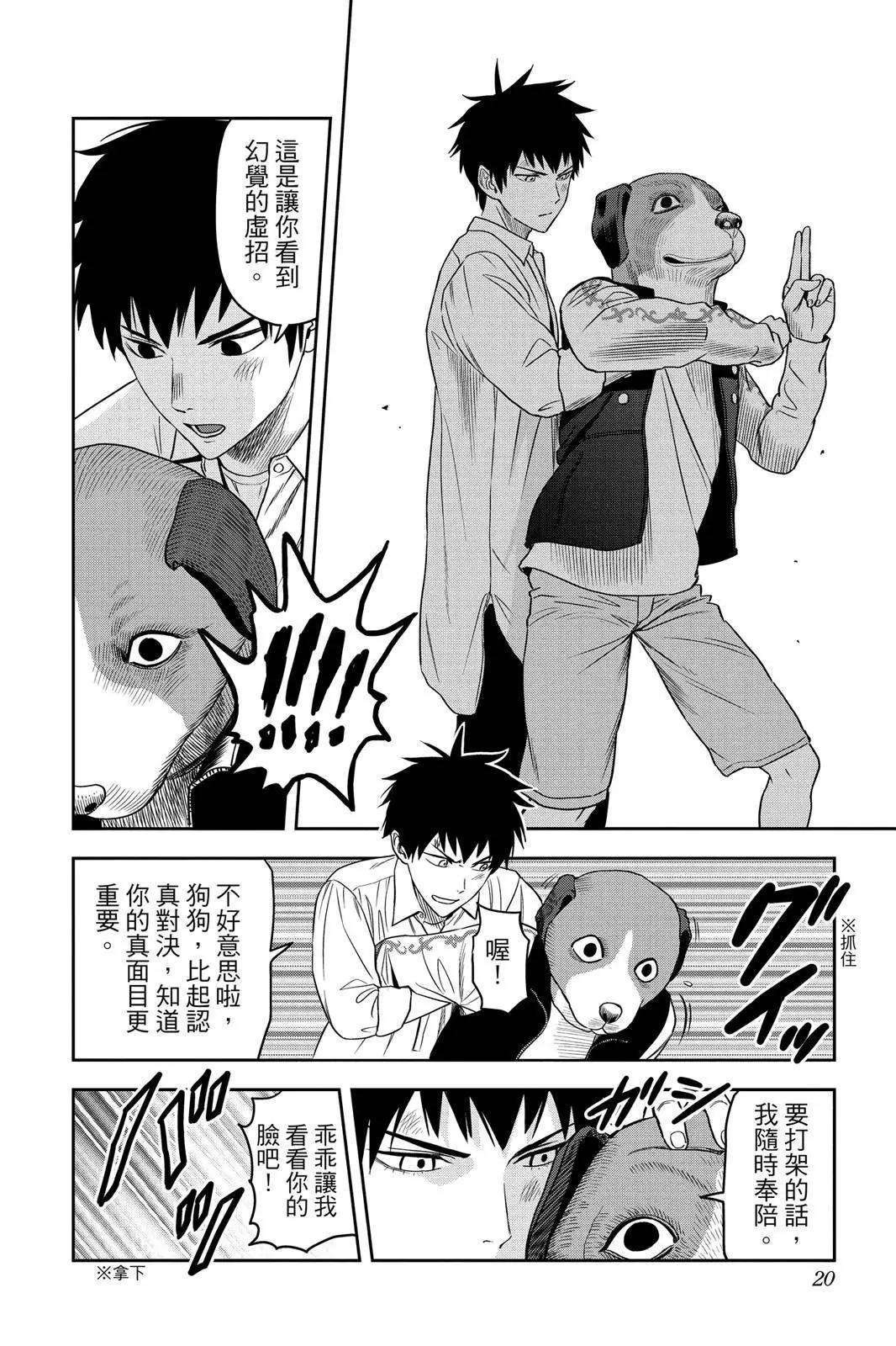 第 20 页
