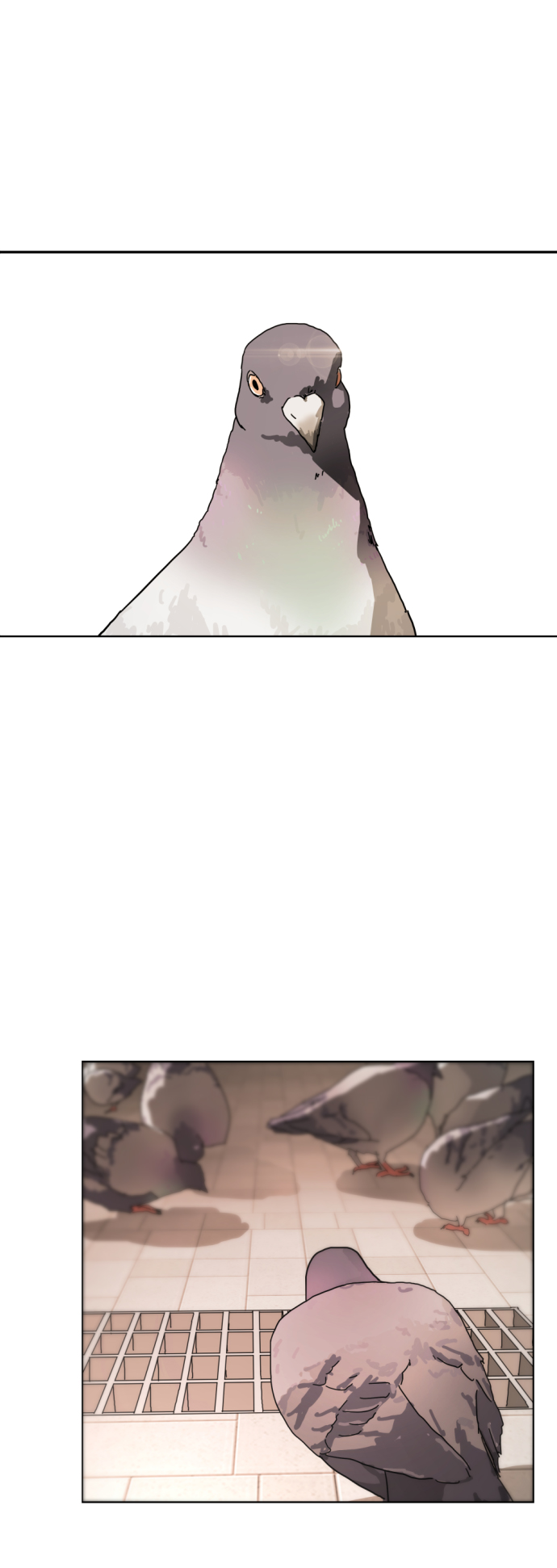第 95 页