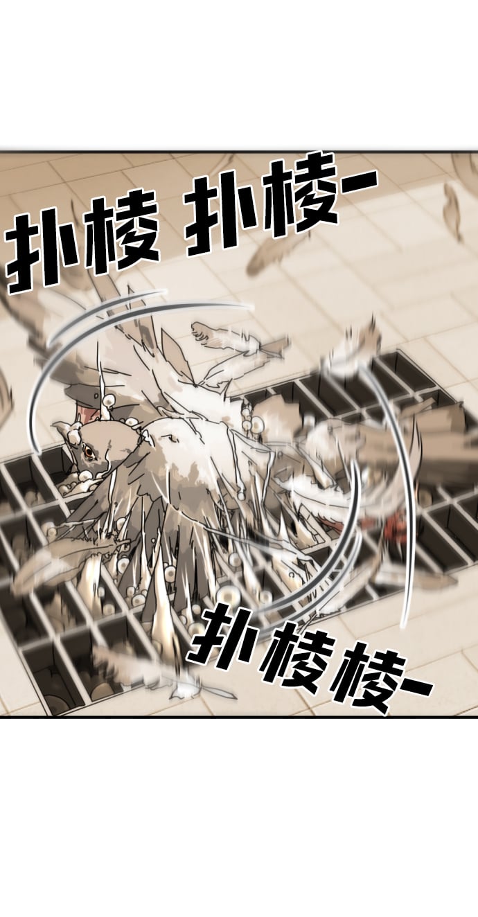 第 97 页