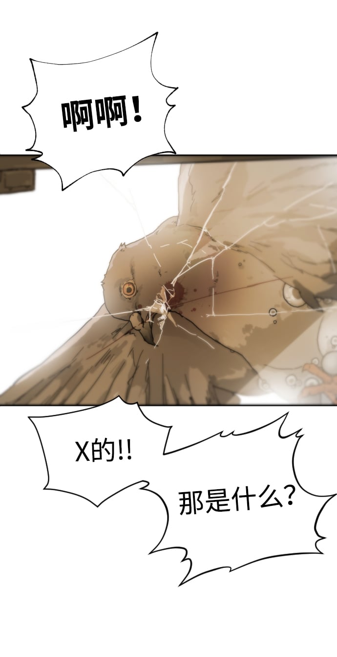 第 83 页
