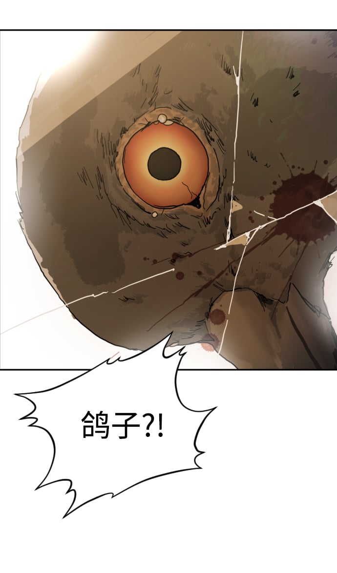 第 84 页