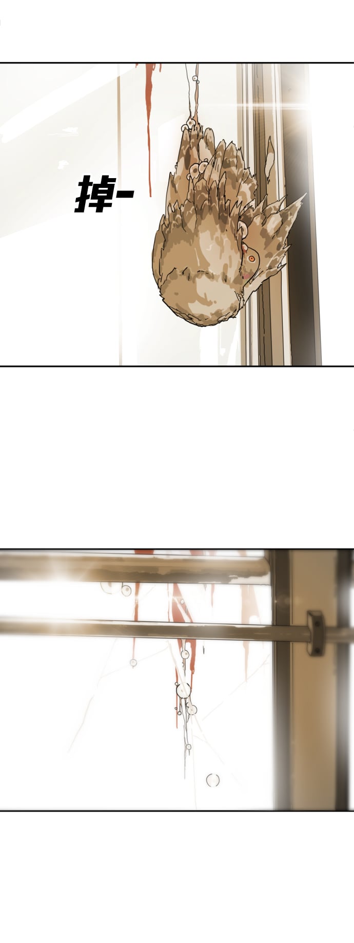 第 86 页