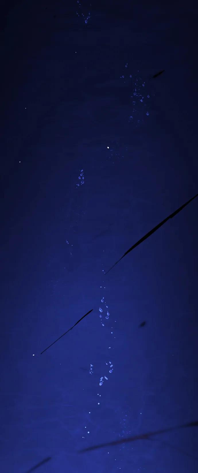 第 46 页