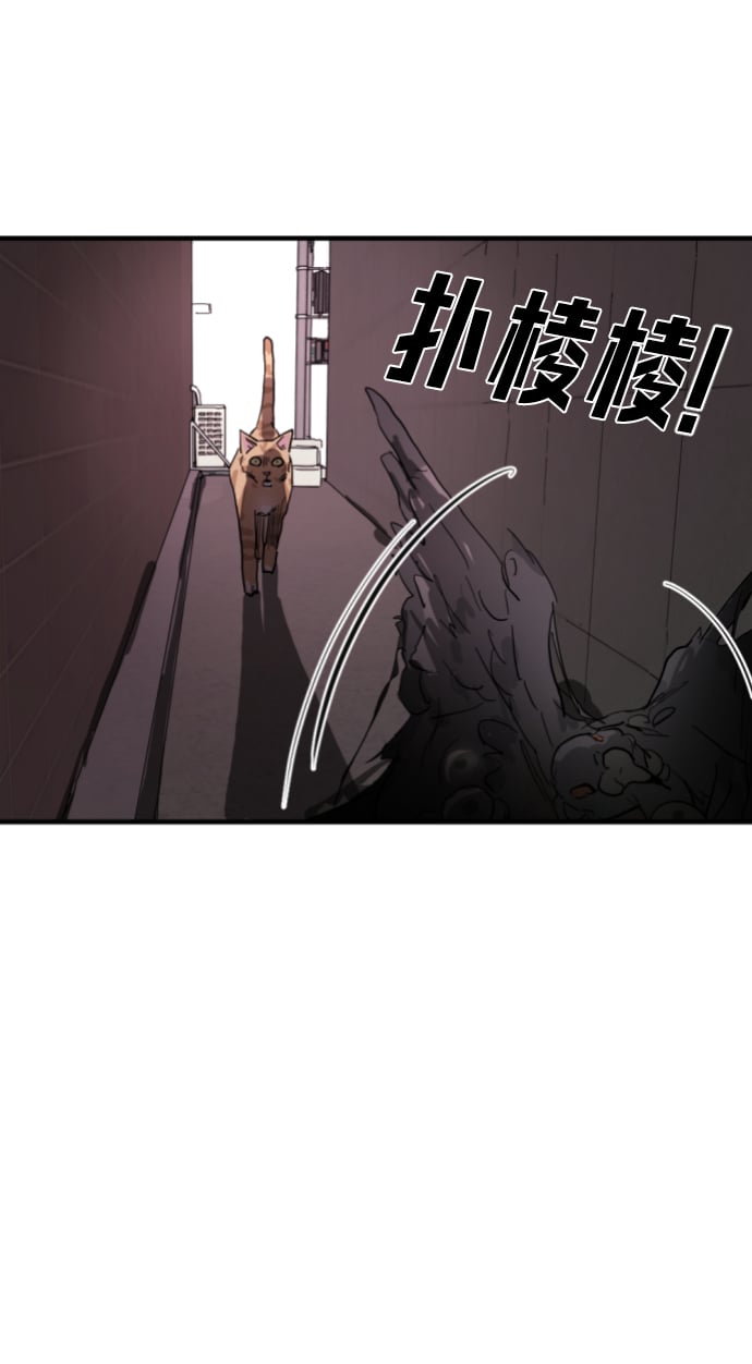 第 73 页
