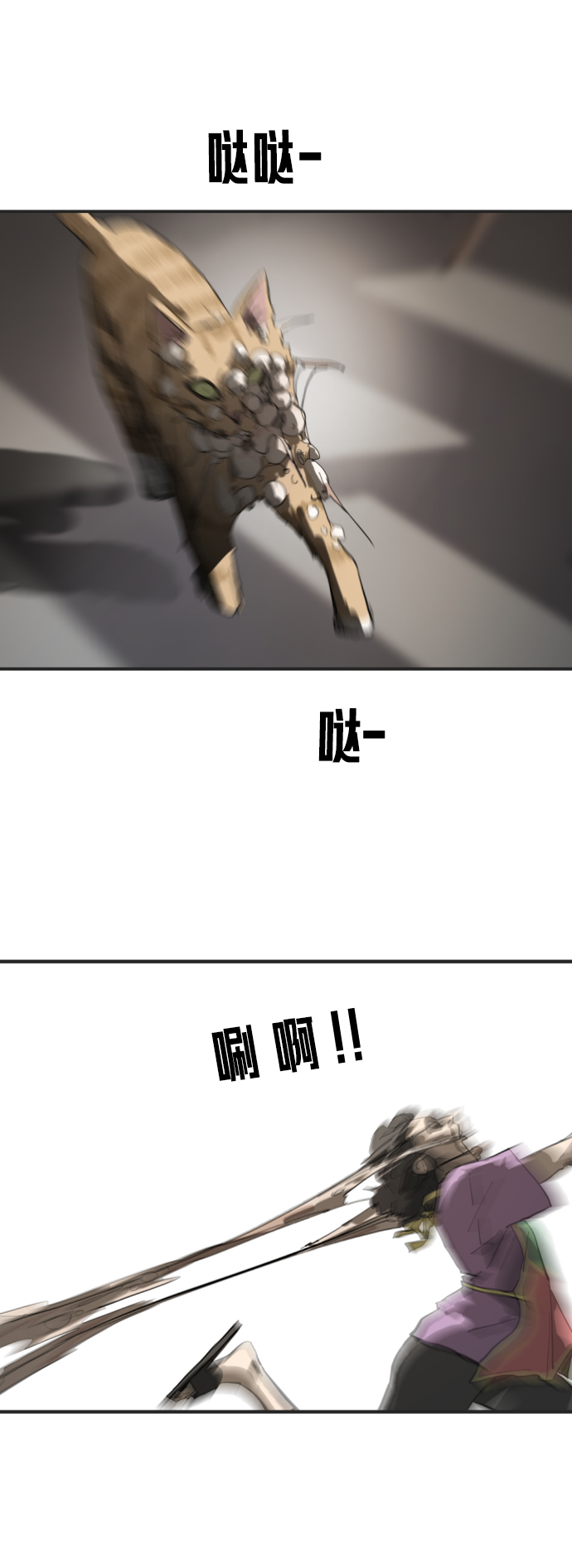 第 47 页