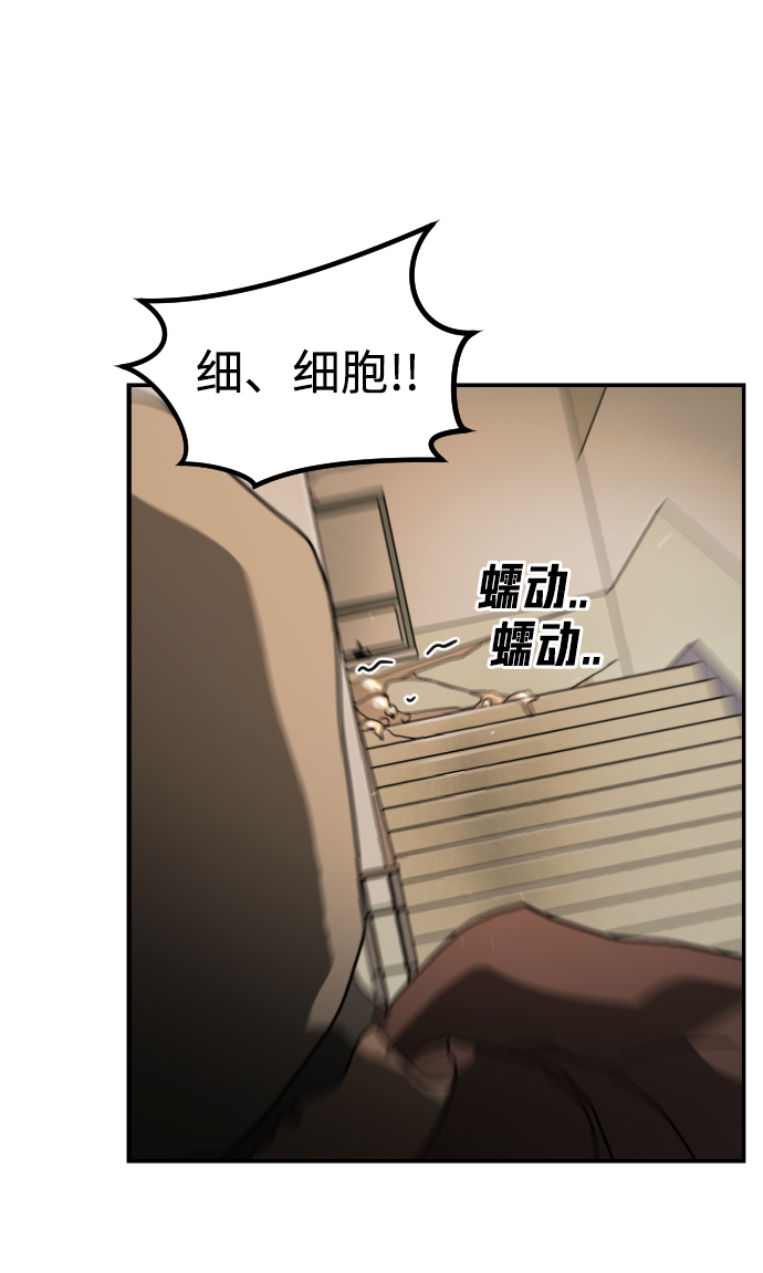 第 66 页