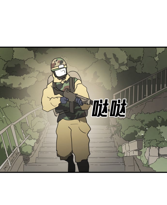 第 51 页