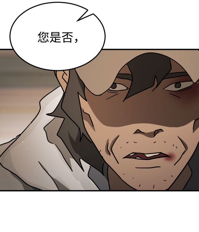 第 111 页
