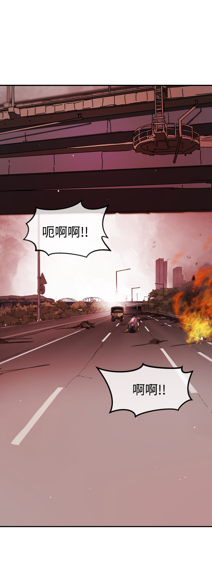 第 110 页
