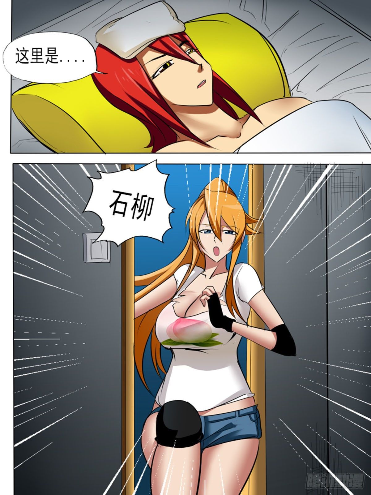 第 2 页