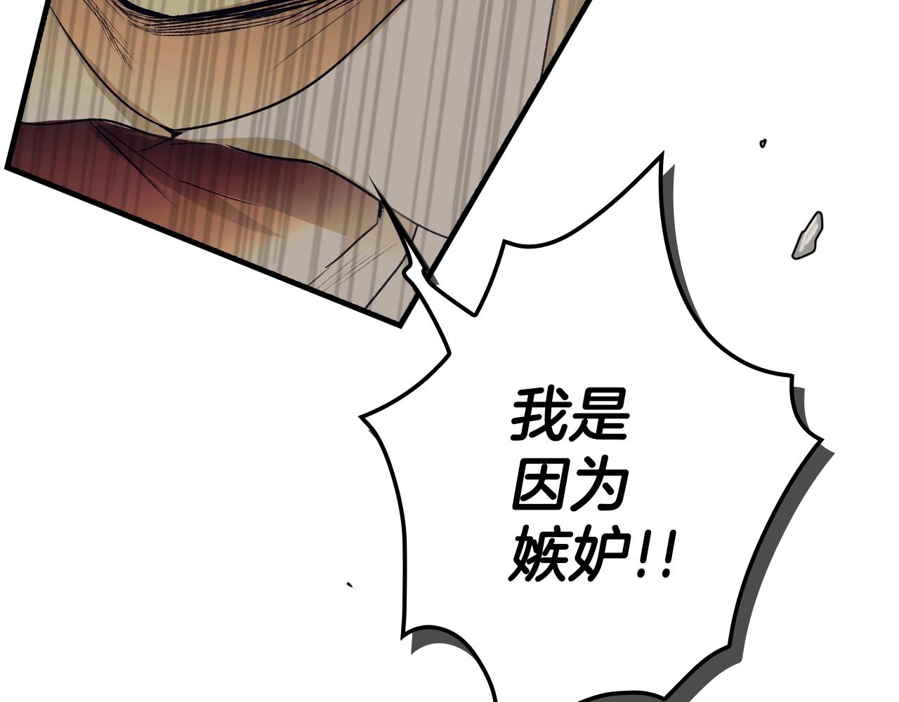 第 113 页