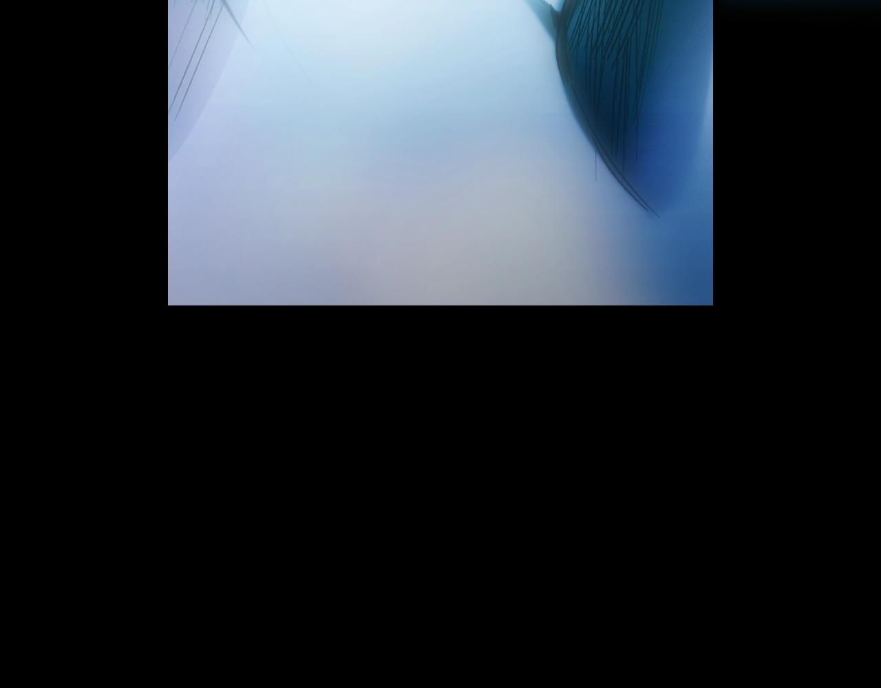 第 171 页