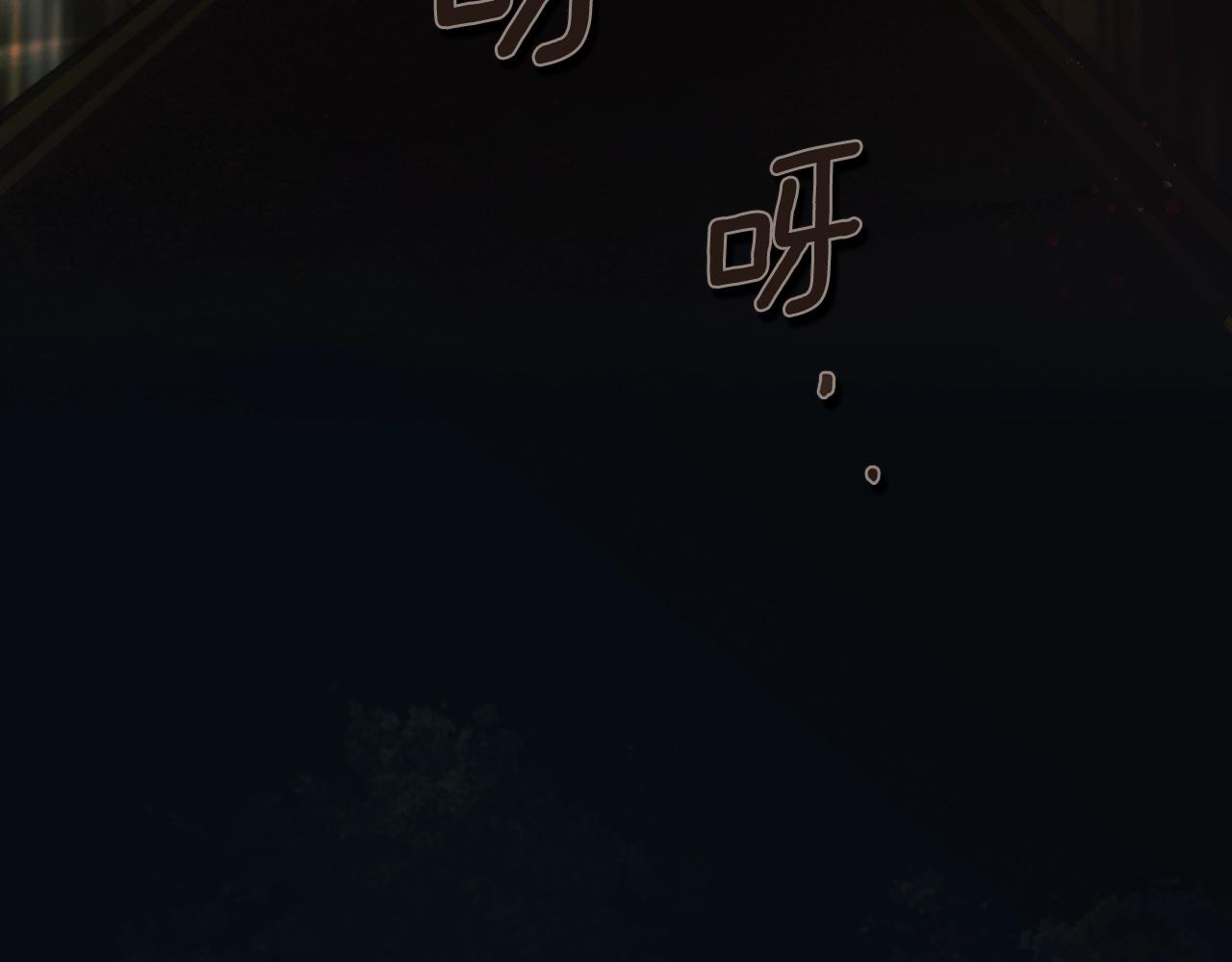 第 217 页