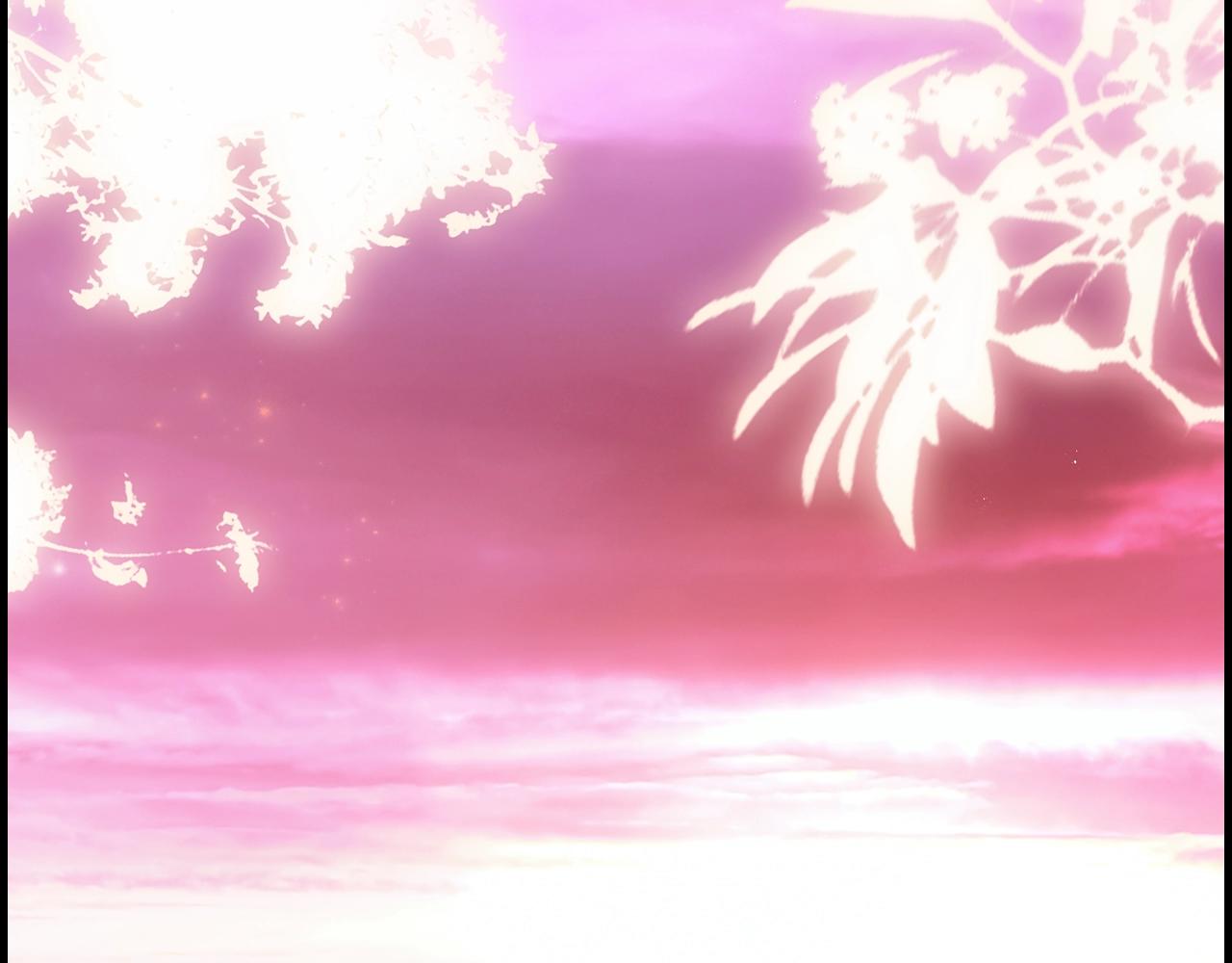第 224 页