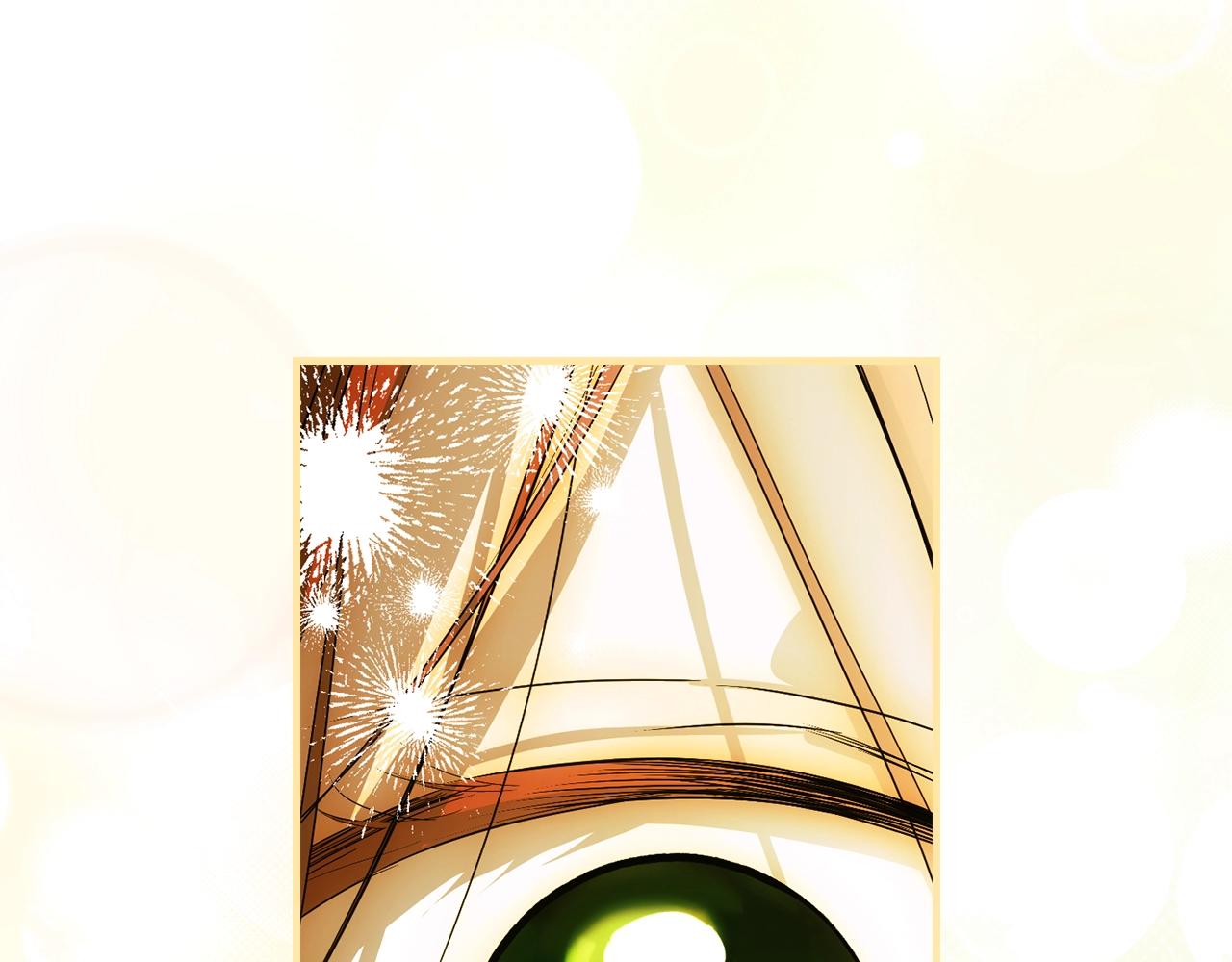 第 206 页