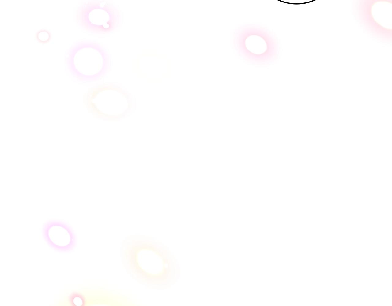 第 216 页