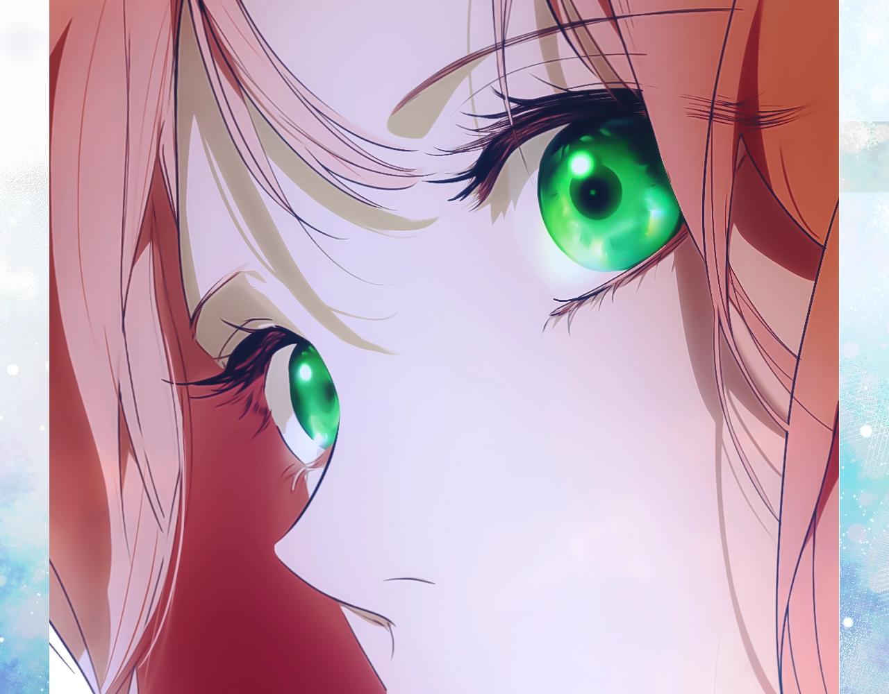第 204 页
