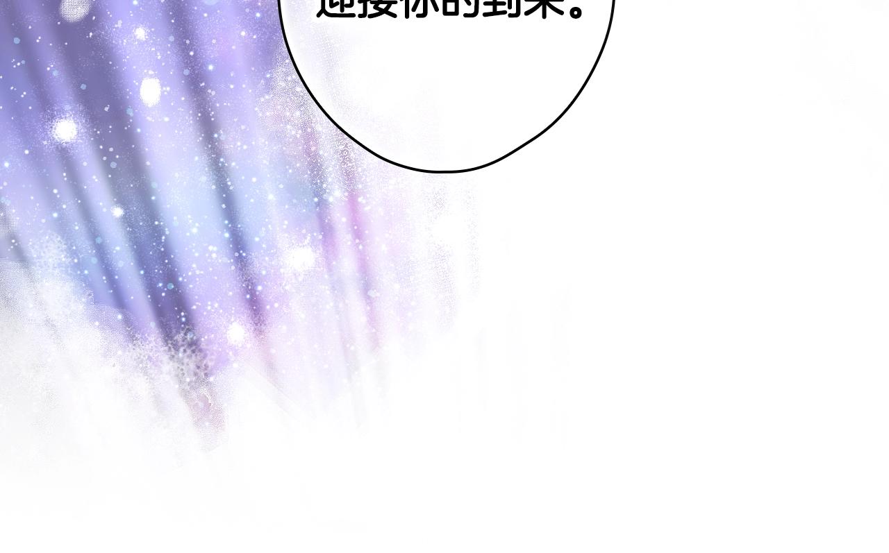 第 206 页