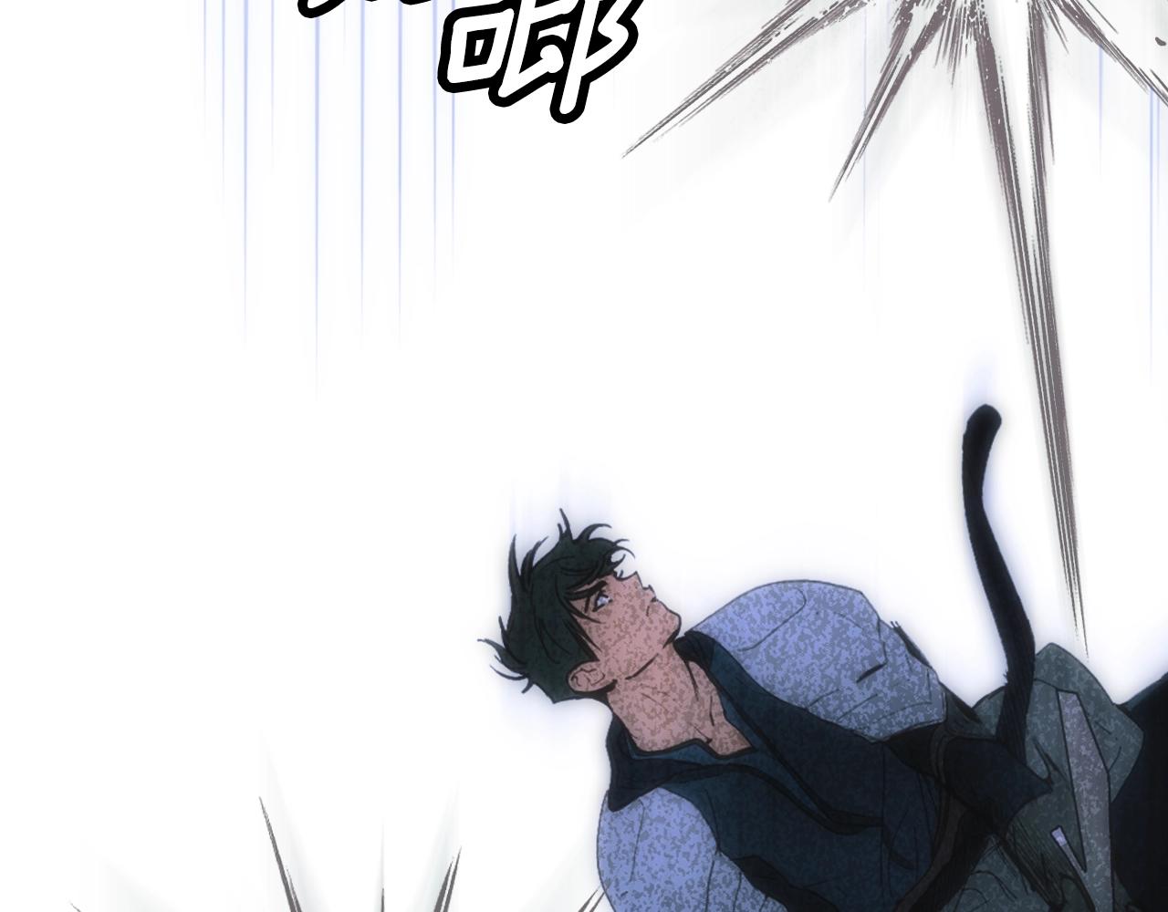 第 153 页