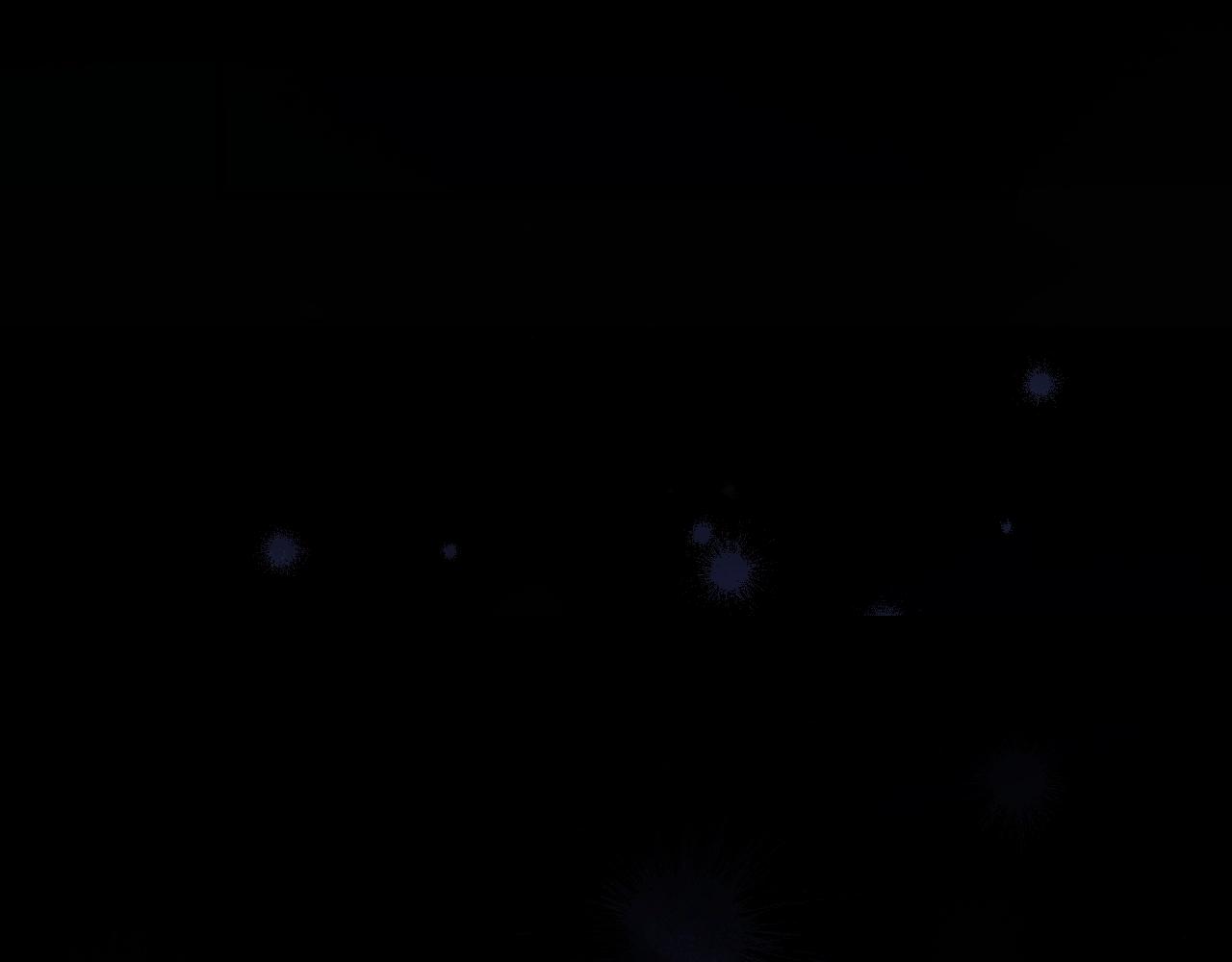 第 207 页