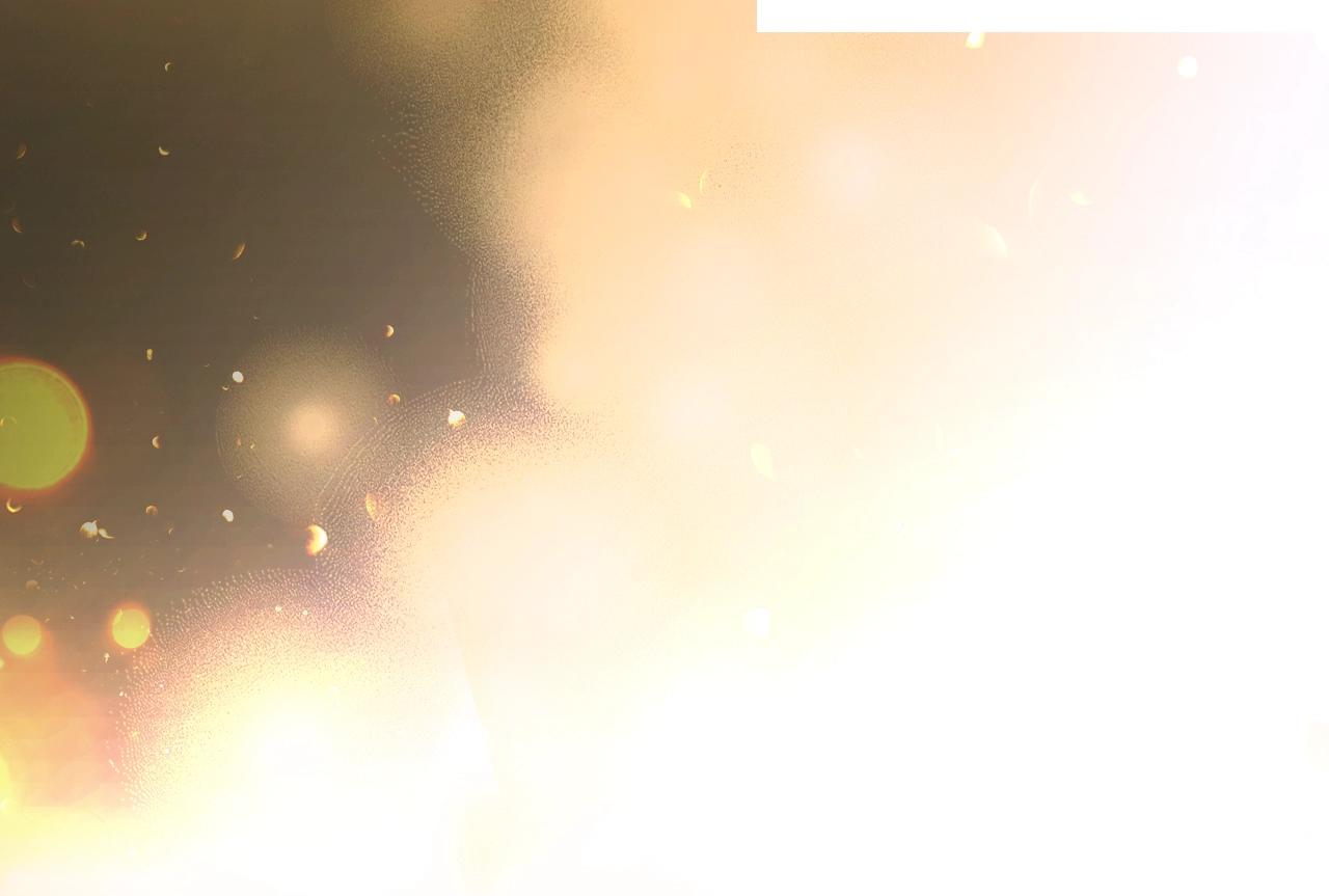第 223 页