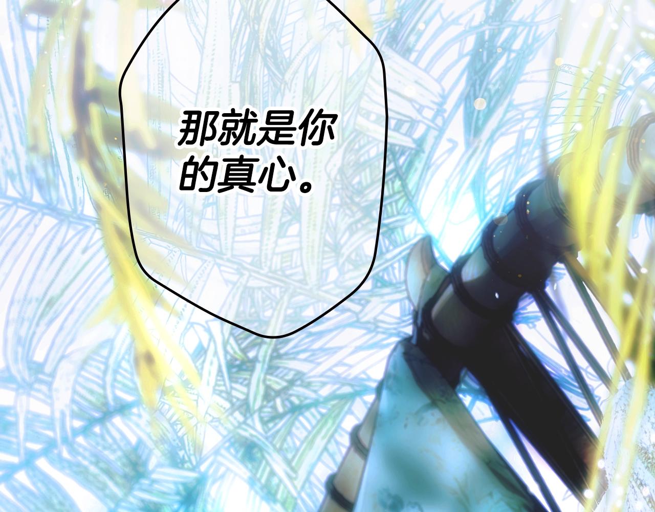 第 255 页