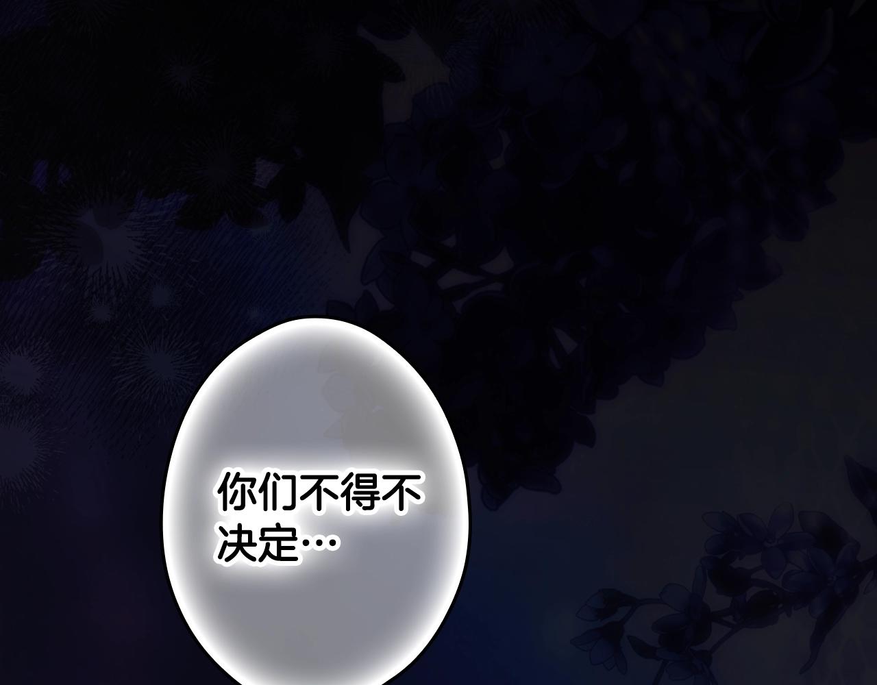 第 146 页