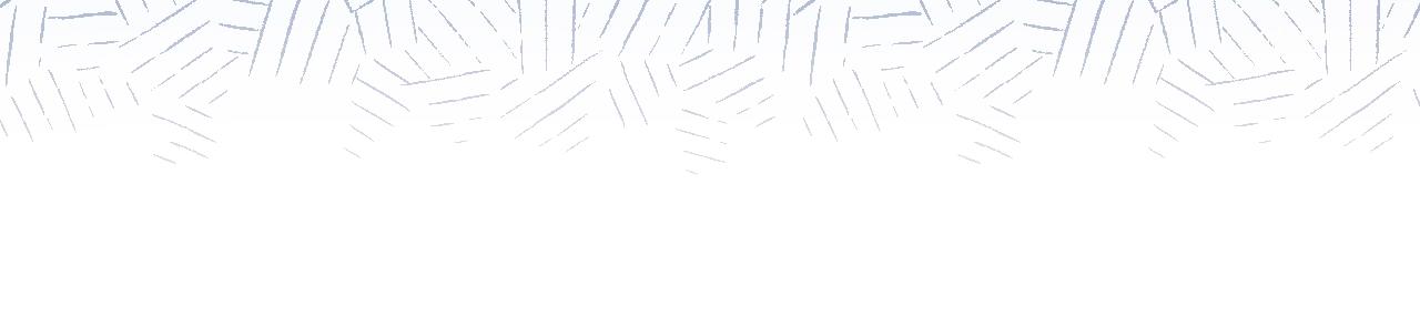 第 219 页