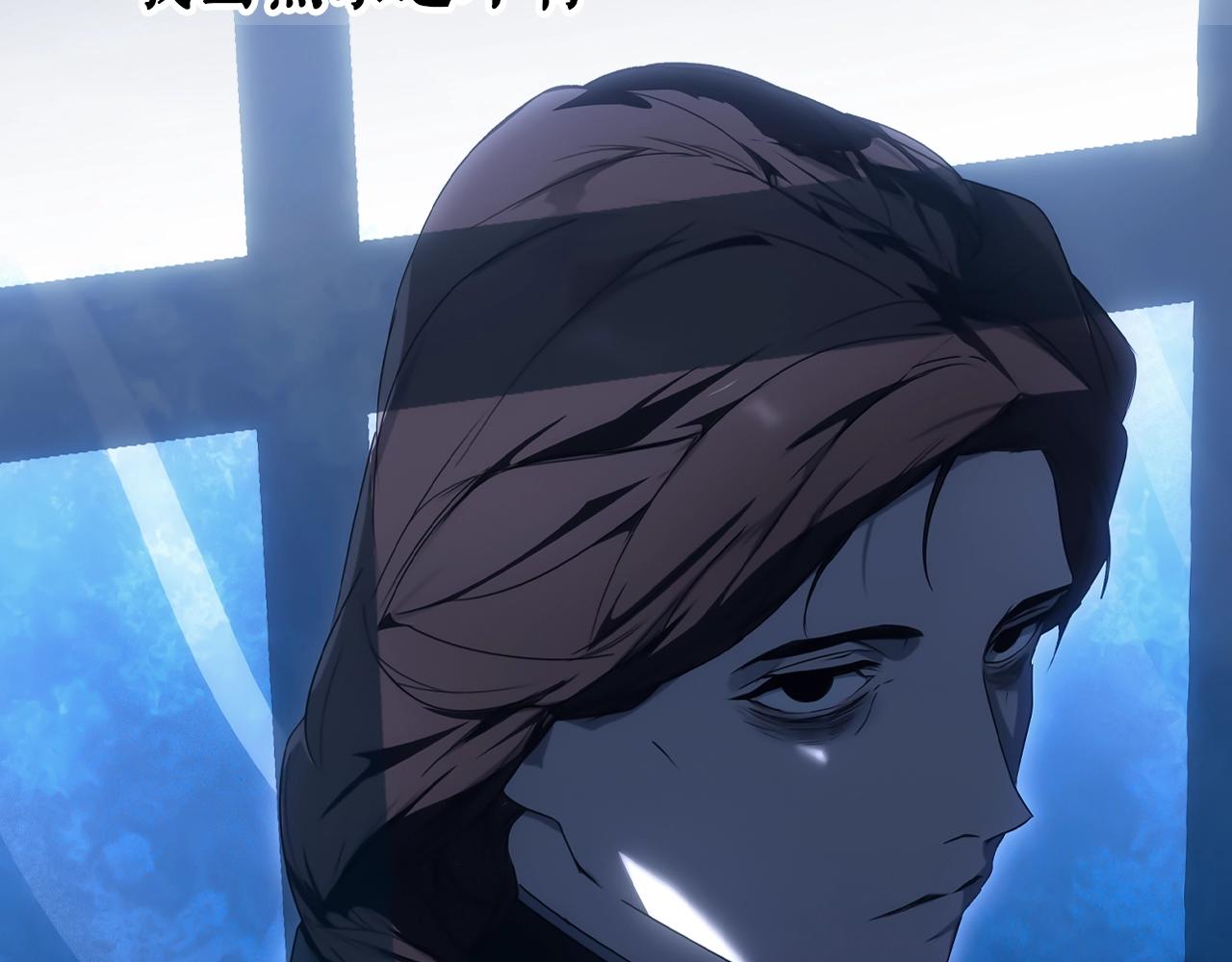 第 238 页