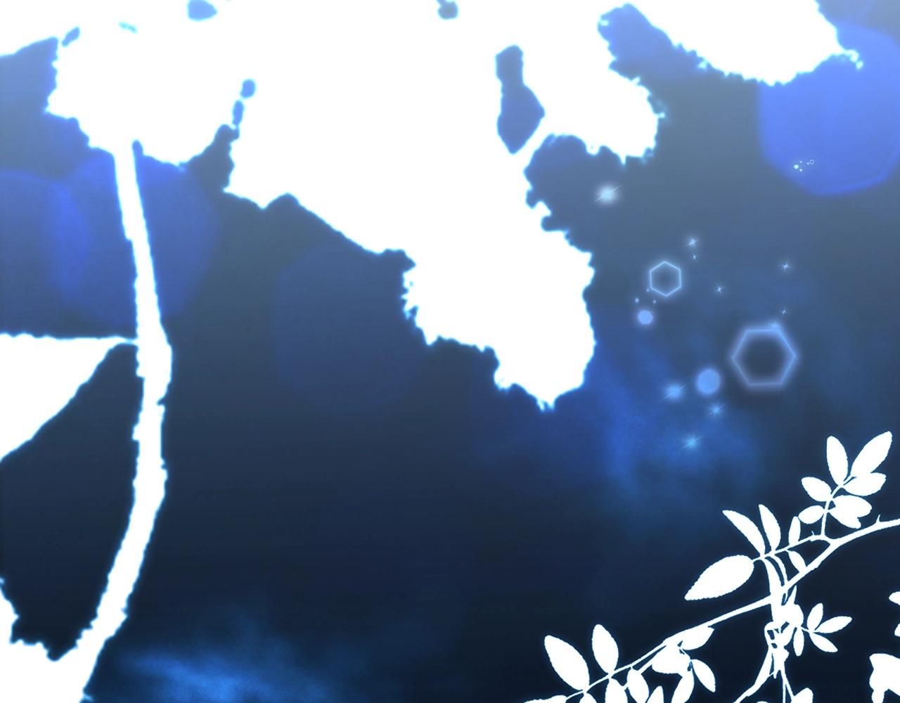 第 260 页